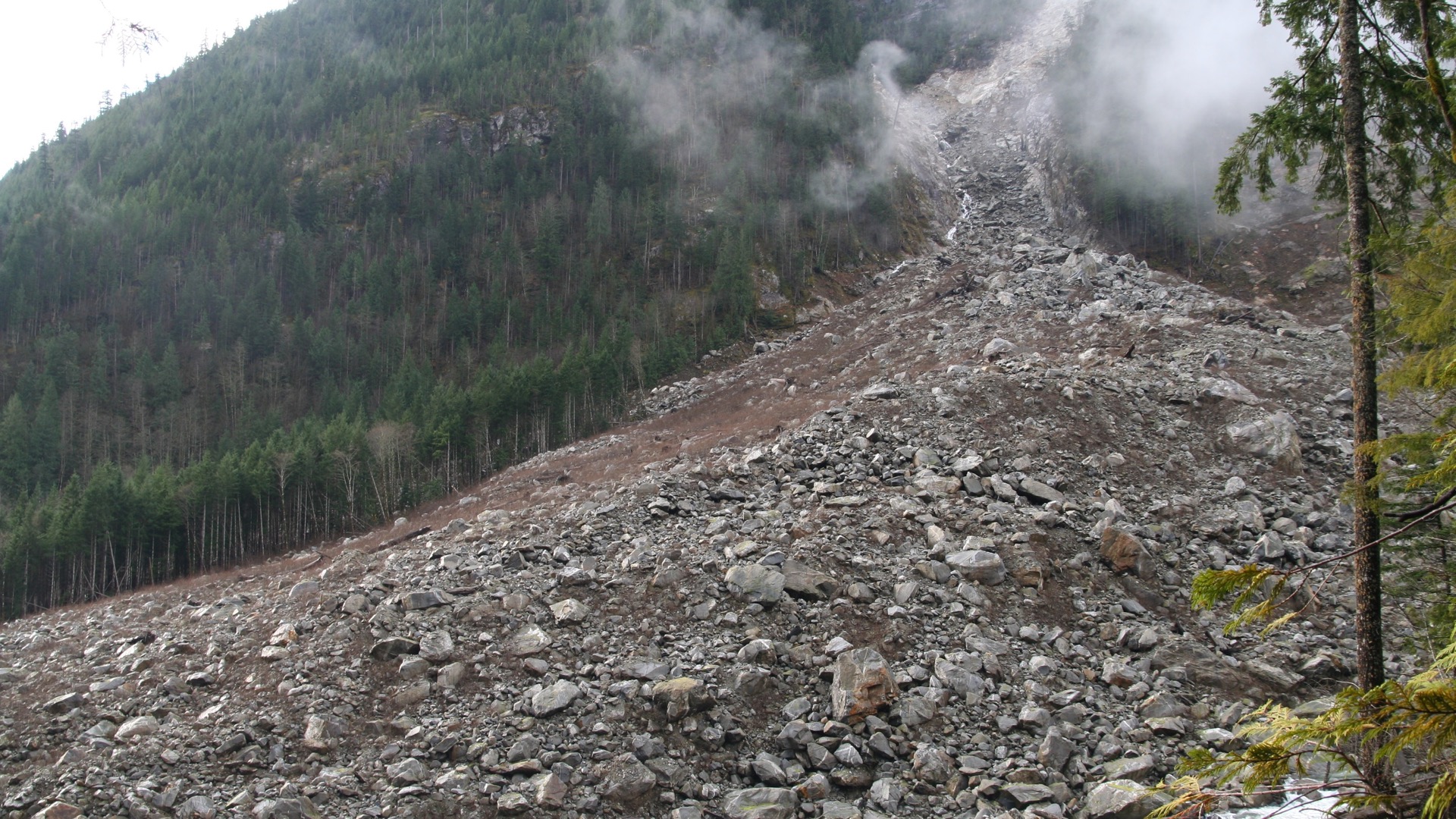 Rock and alpine vegetation after geological movement, from the Sereinora world Land